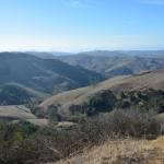 Cambria_2015_0322 (November 08, 2015)